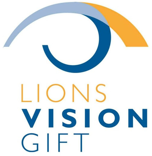 Lionsvisiongift